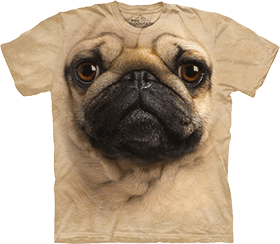 �������� The Mountain - Pug - 2012